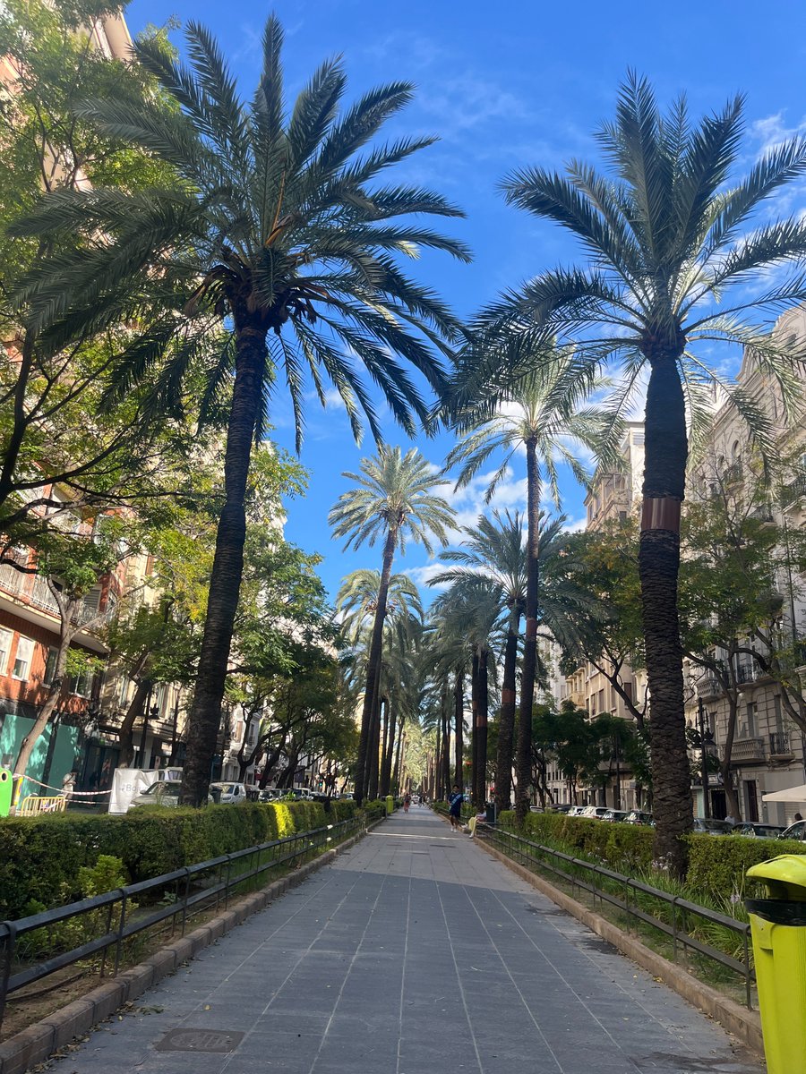 yann 🧑🚀 tweet media