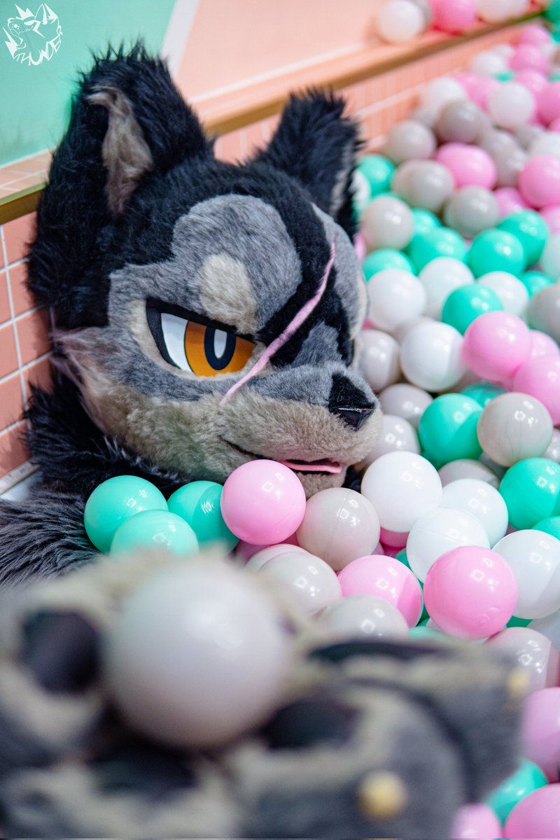 OokamiAku's tweet photo. #FursuitFriday
🟠🟢⚪！！

📸： @wolf26989 https://t.co/ayWzb9glKB