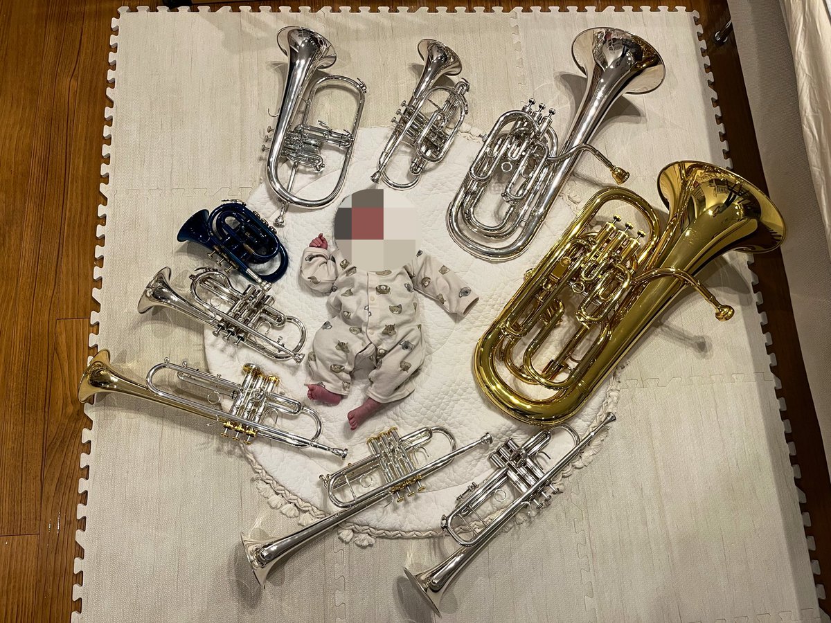 punizarashi's tweet photo. 息子よ、好きな楽器を選べ🦭 https://t.co/SXoV0ZfdKW