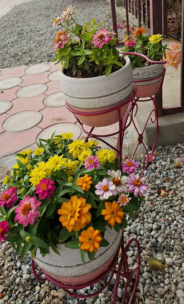 يوسف القاسمي tweet media