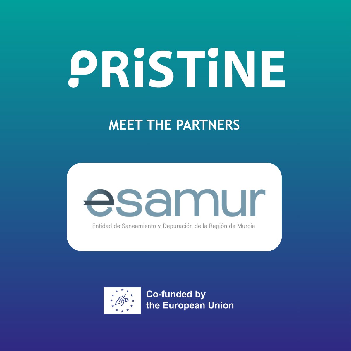 PRISTINE_EU's tweet photo. At #LIFEPRISTINE, @esamur_aguas drives wastewater analysis, demo activities, impact evaluation, and policy &amp; outreach support—ensuring robust, sustainable project outcomes. 💧

ℹ️ Details: https://t.co/YPfV0m5jVA https://t.co/yNv8Pg7oB0