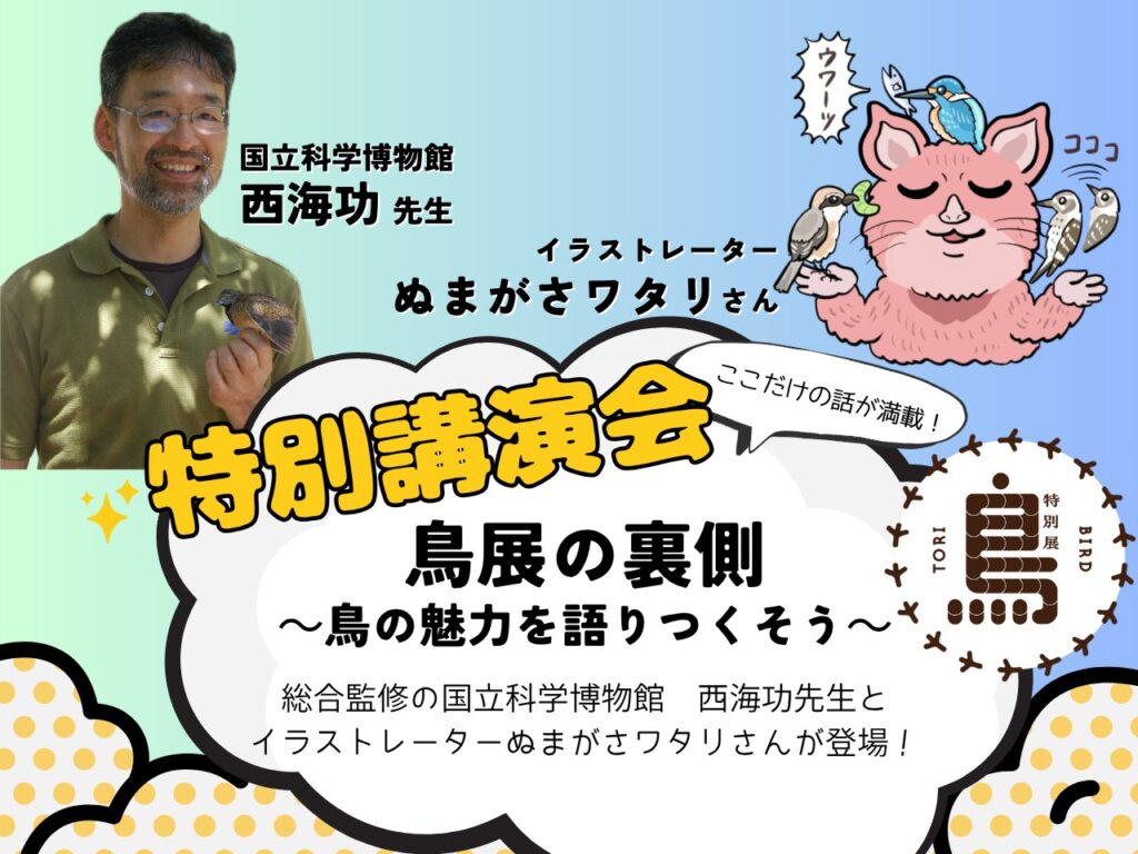 大阪市立自然史博物館 tweet media