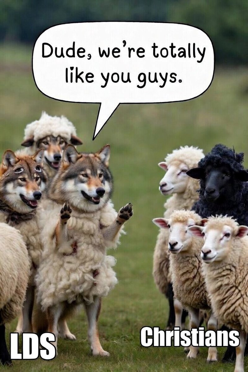 Jason Trimble tweet media