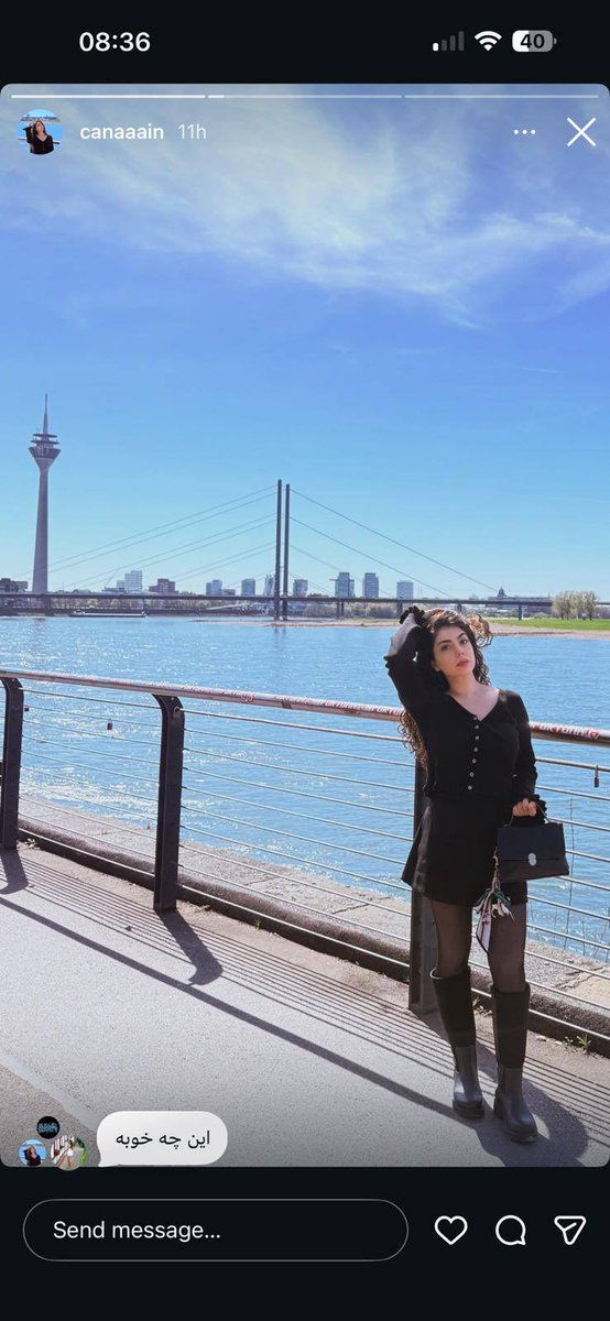 کولی tweet media