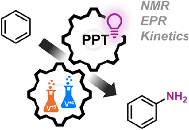 ChemistryKoenig's tweet photo. Our dual photocatalytic method enables the selective synthesis of aniline under mild conditions and allows easy scaling with flow systems. Nice team work! @ChemEurJ 
https://t.co/pg7vpmlyq4 https://t.co/jVJ2HvWCLe