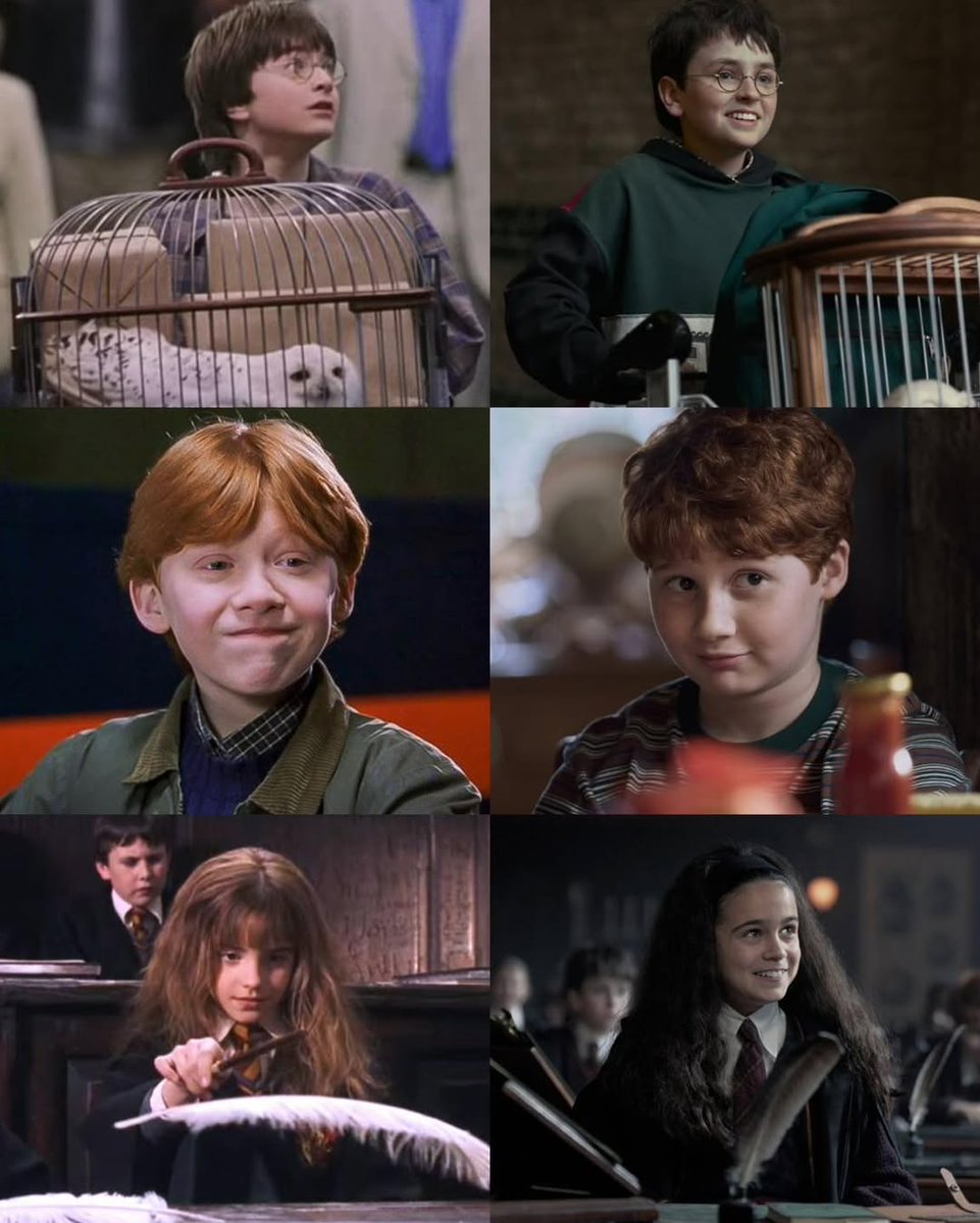 The Boy Who Lived ⚡️ tweet media