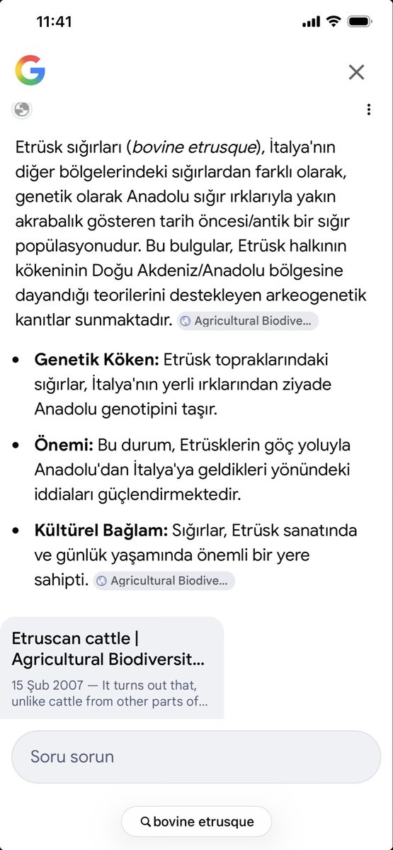 Mine G. Kırıkkanat tweet media