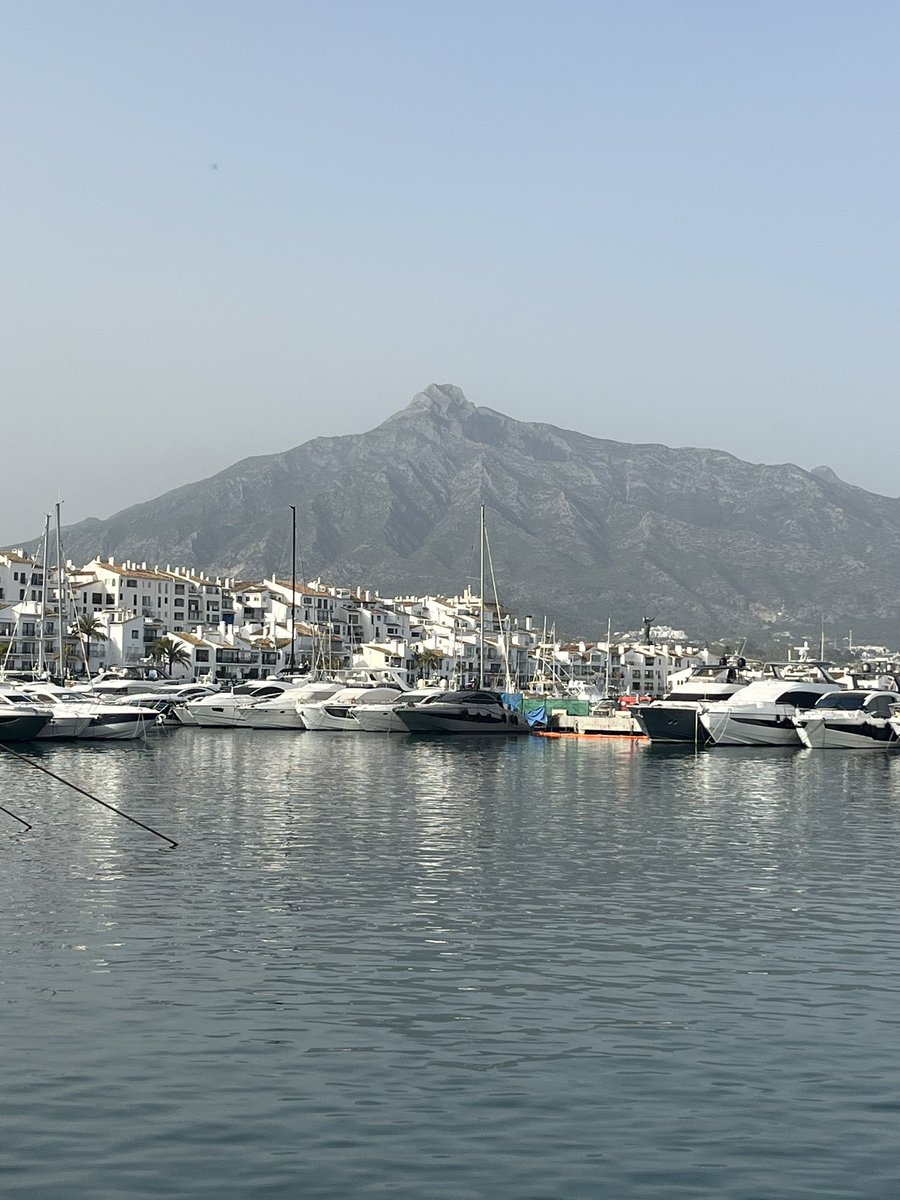 EL PRESI FOREVER tweet media