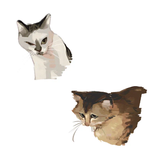 輩みたいな猫をスケッチ