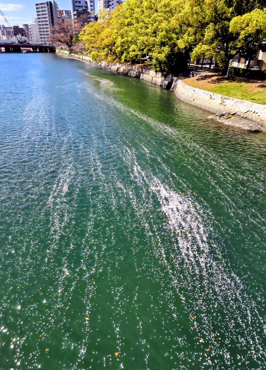川の街桜吹雪の川の道

新年度の挨拶で街を歩くなか、ふと出会った広島の春景です。