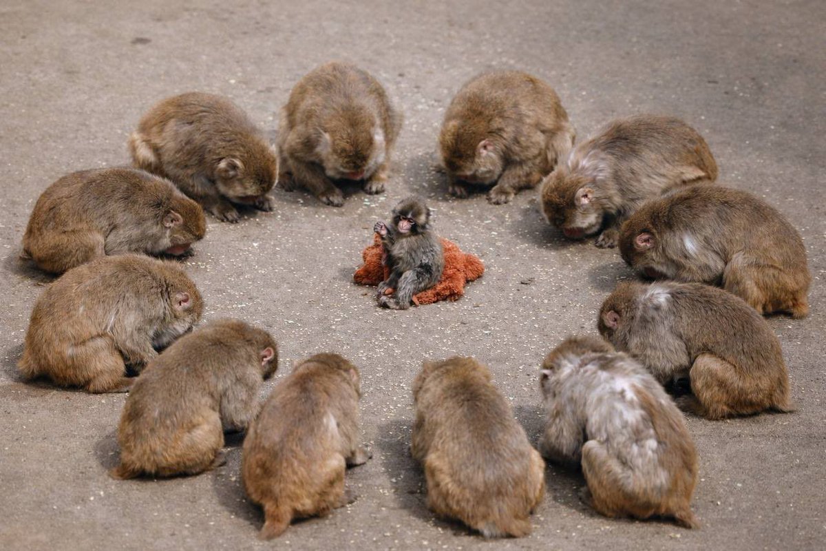 | izuku | tweet media