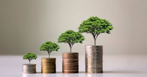 YodaStocks tweet media