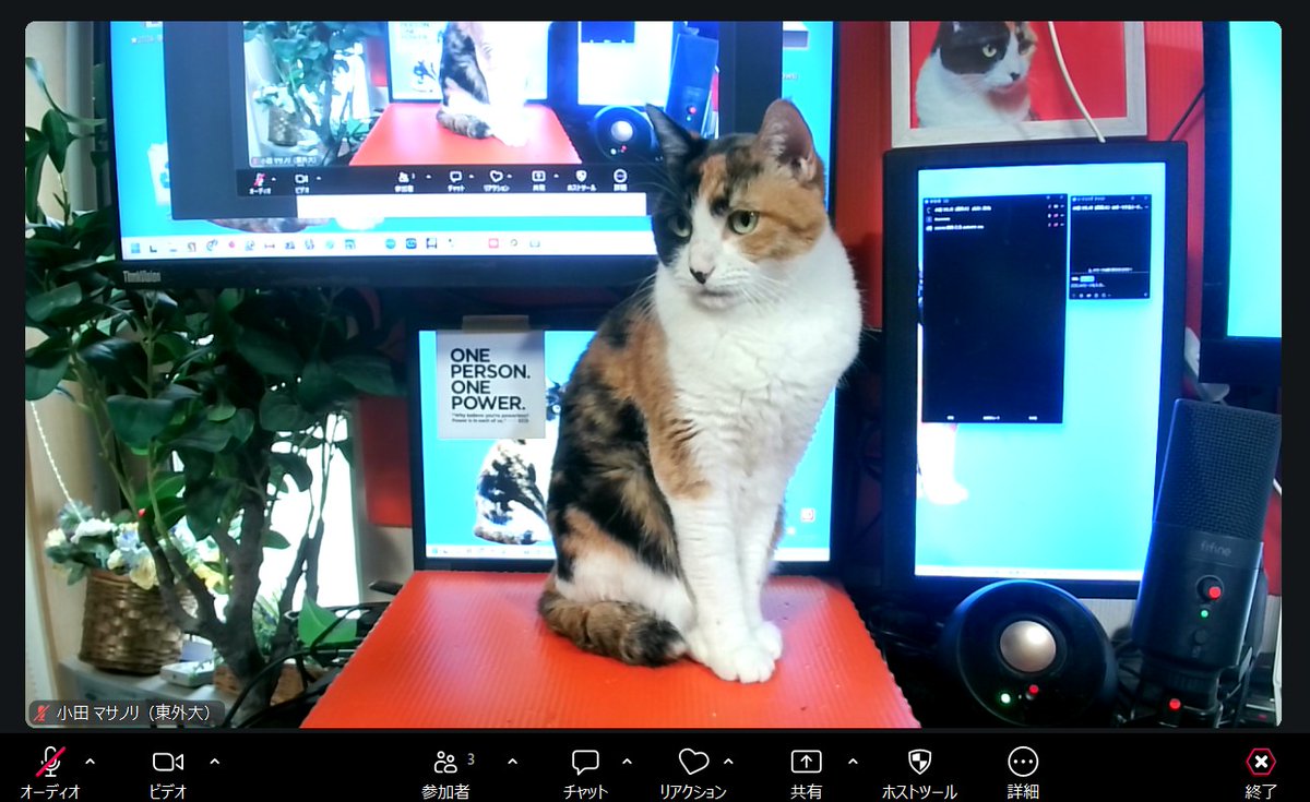 イルコモンズ tweet media