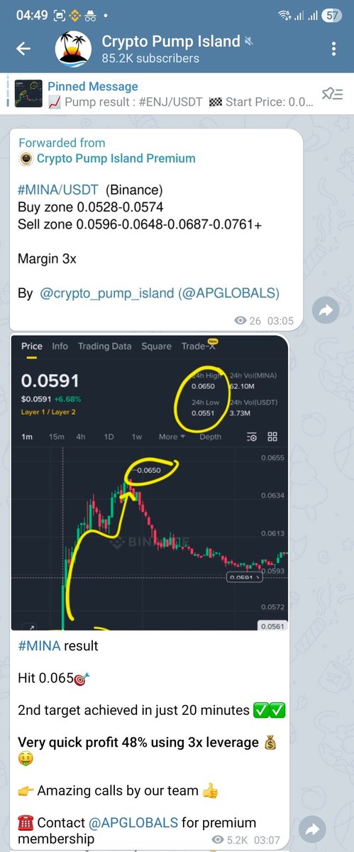 Crypto pump island tweet media