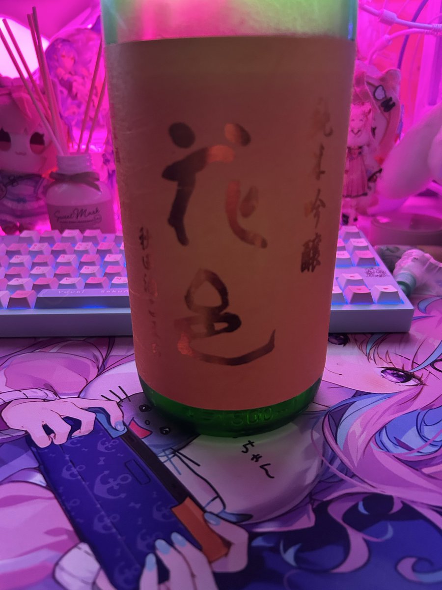 のんの🎀🐾☃️🎤👑⚒️🧪🪼☁️🐾🍂 tweet media