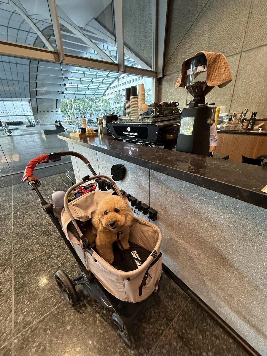 Bindoy Carredo tweet media