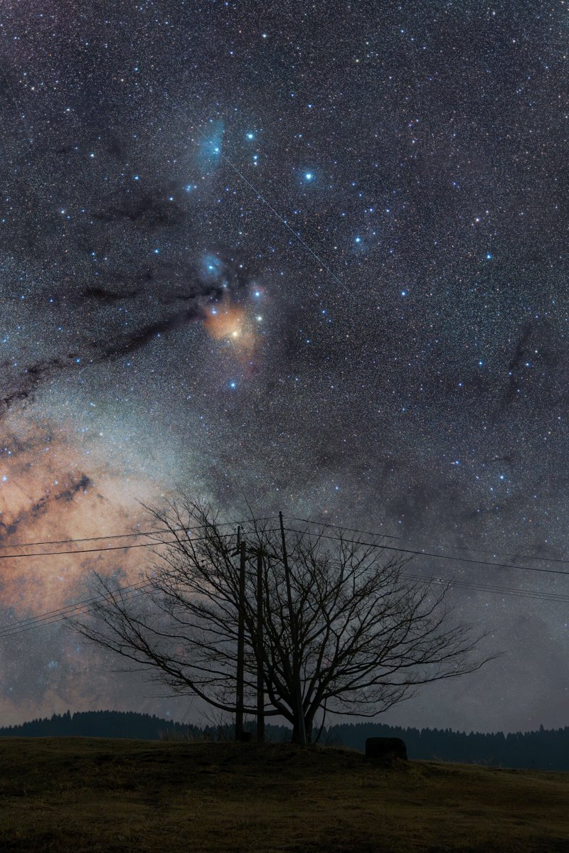 鬼塚 巧也 (onitaku） tweet media