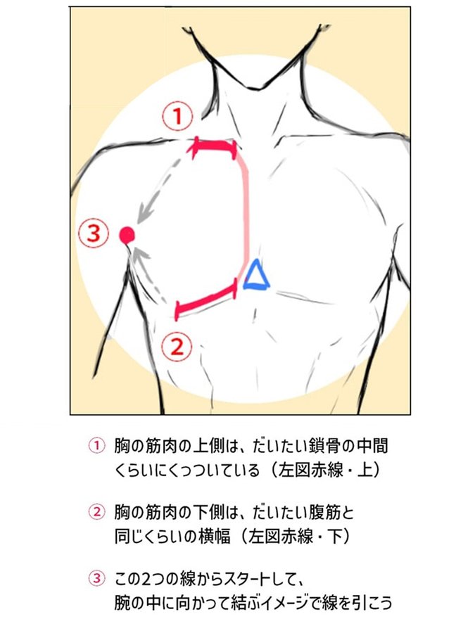 お絵かき講座パルミー tweet media