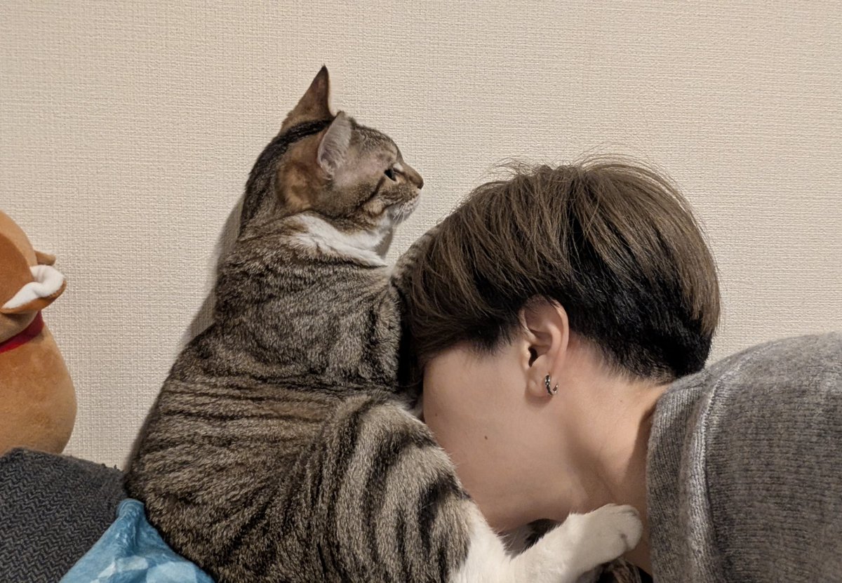 野良さん@握力3.zip tweet media