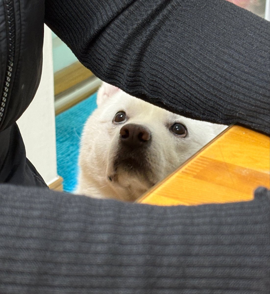 🐻‍❄️내이름은 윤석이🐻‍❄️ tweet media