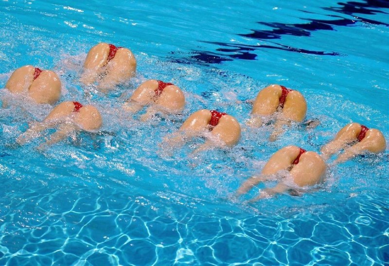 Алексей Востров tweet media