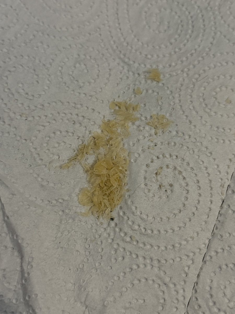 Goddess Laura tweet media