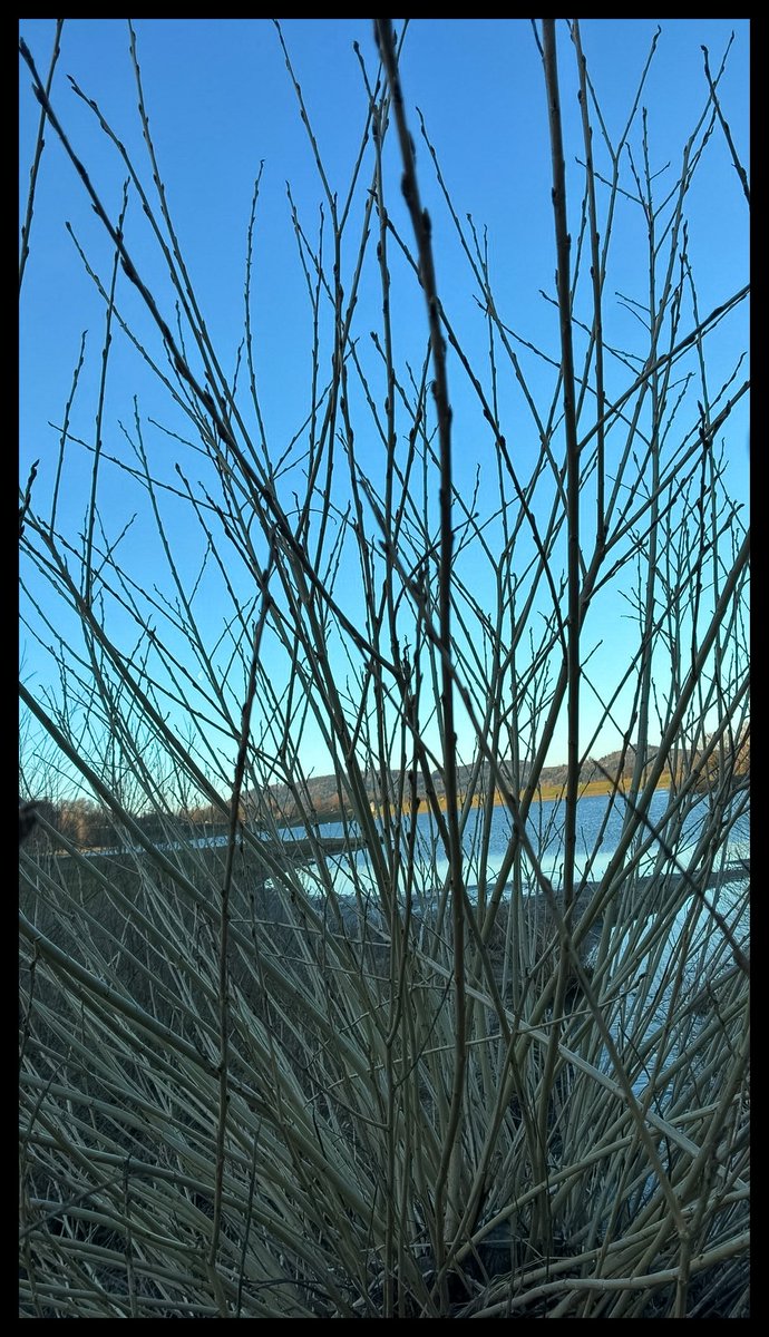 weissblauemacht's tweet image. #oase #perlsee #Bayerischerwald #NaturLover #NatureEscape ✨🤍💙😎
