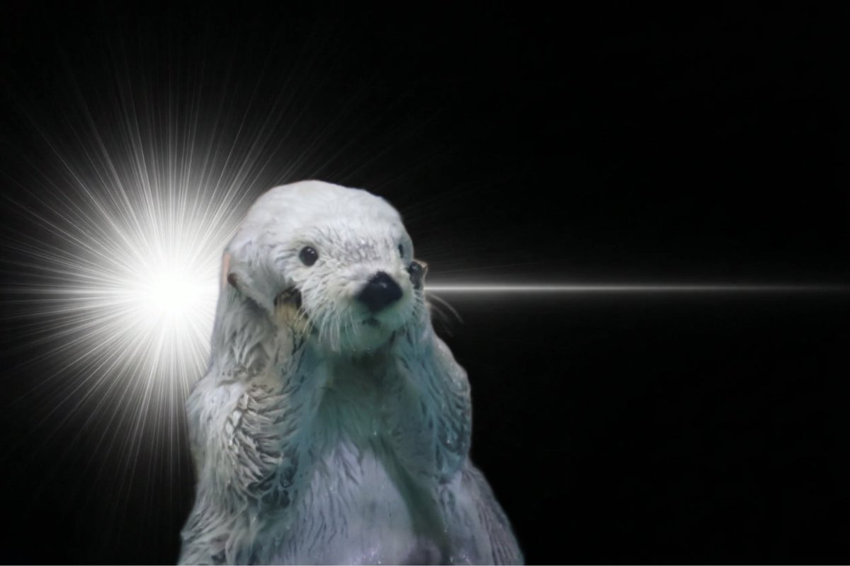 めいぷる tweet media