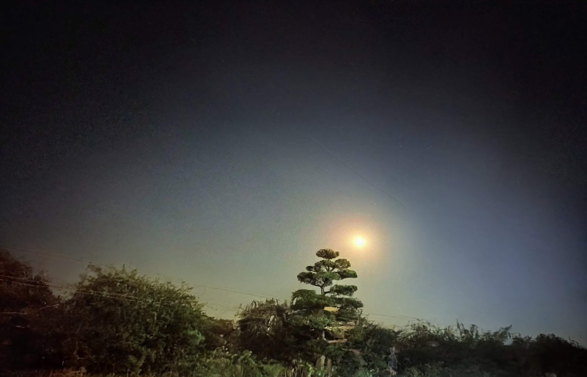 mai@アルテミス ♪ 歌 と 詩 そして 時々 ベース tweet media