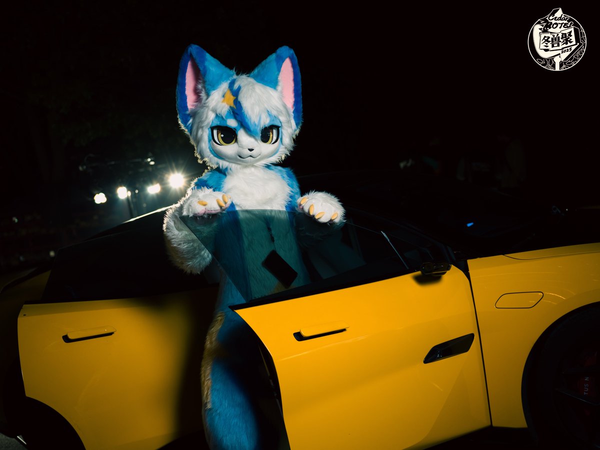 SuperFurryFusion tweet media