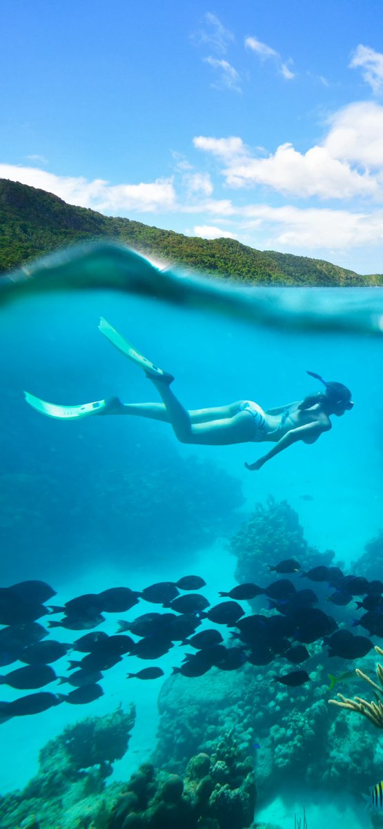 Shinji Tanimura tweet media