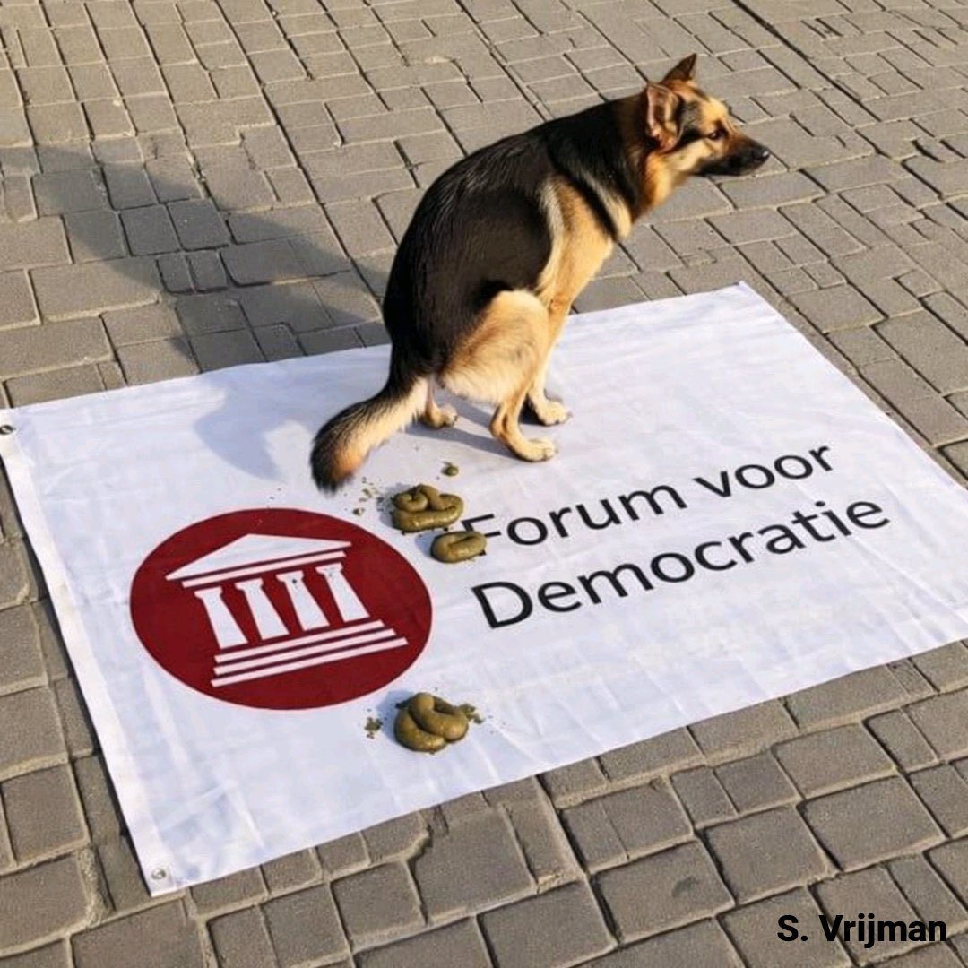 Frank verdegaal tweet media