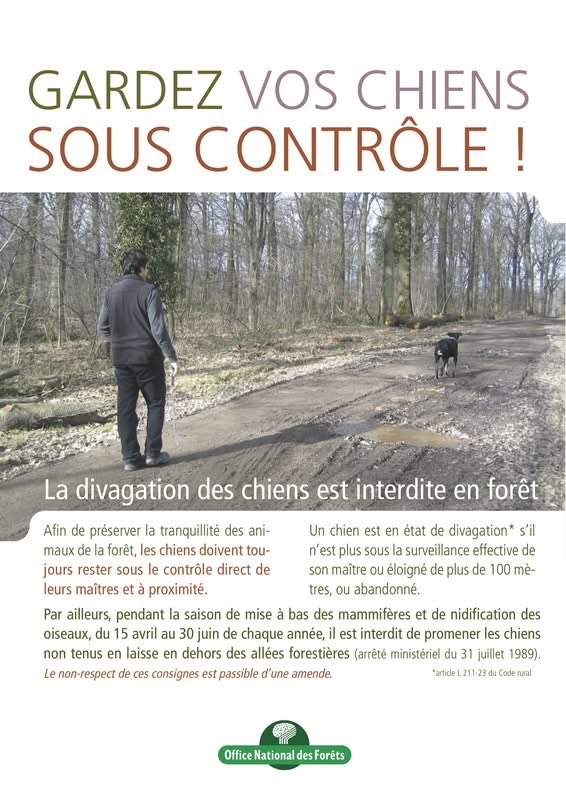 CALVET BERNARD FVE31 tweet media