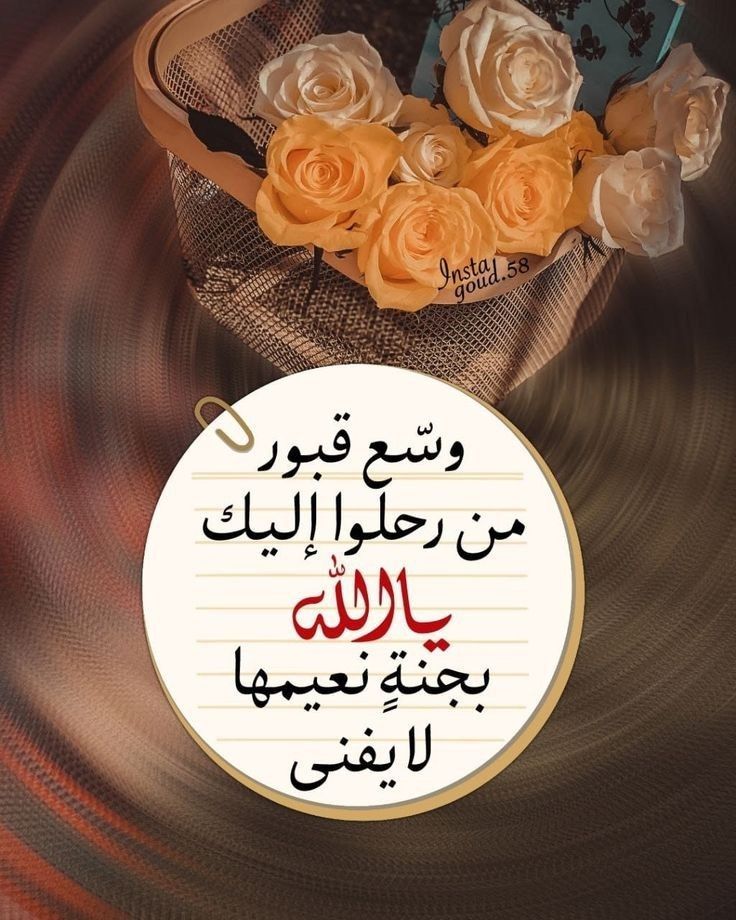 Nour 🕊️ tweet media