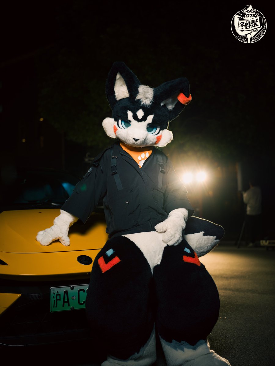 SuperFurryFusion tweet media