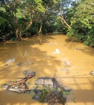 A.D.E.K.U.N.L.E tweet media