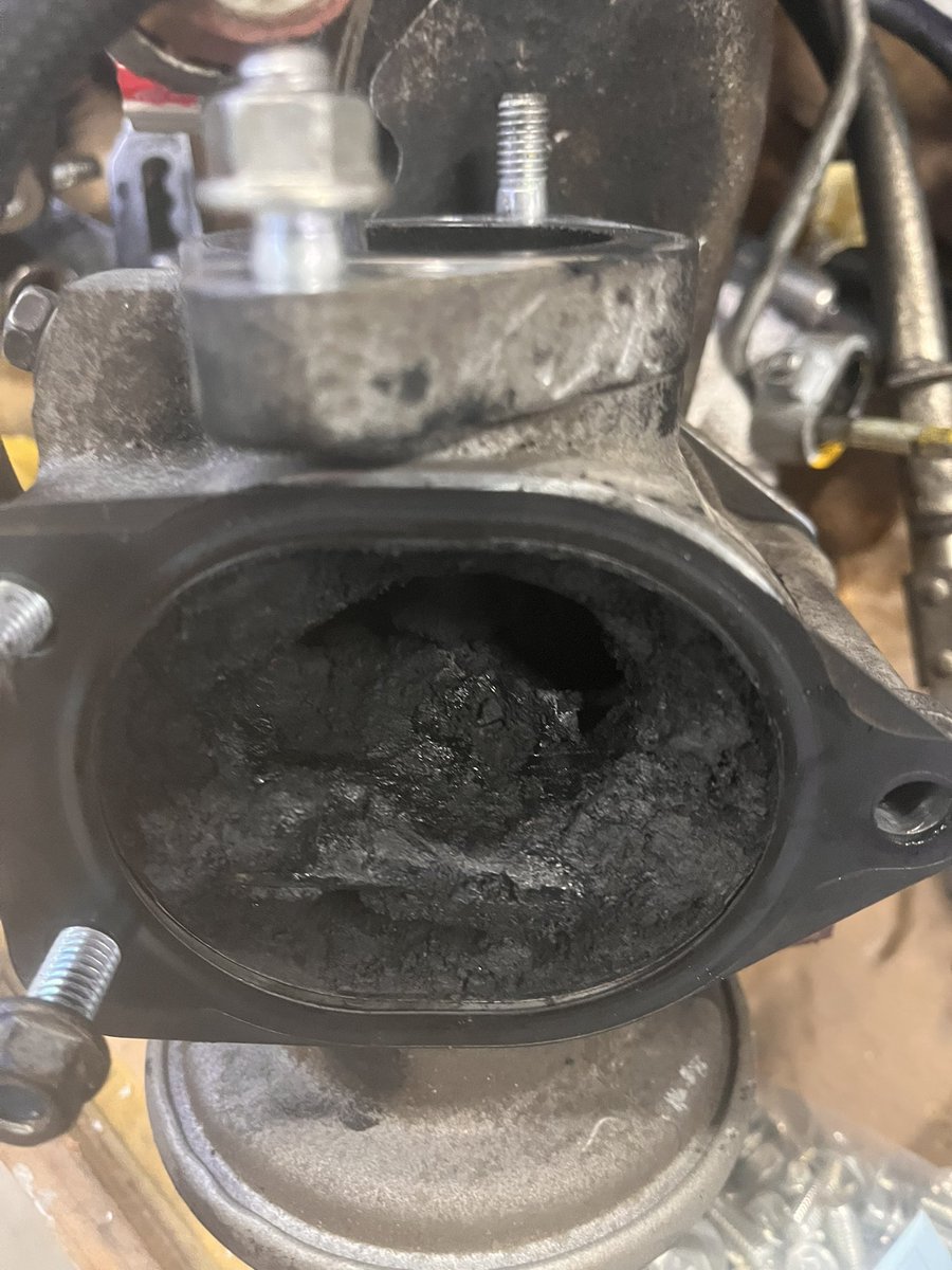 やす、 tweet media