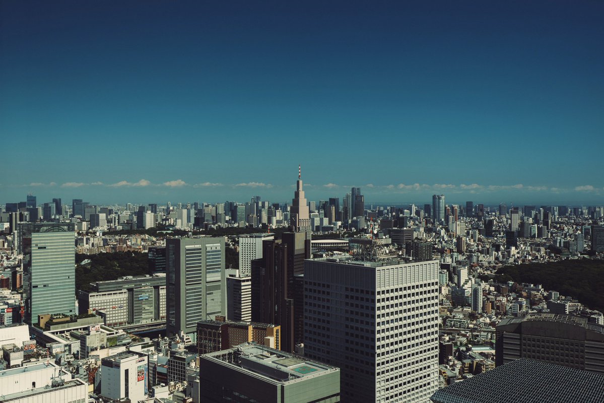 🕊 𓂃𓈒 𓂂𓏸 tweet media