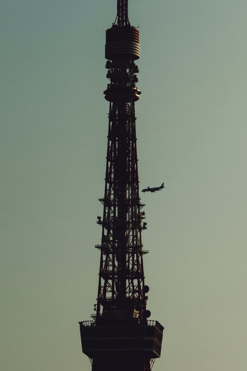 🕊 𓂃𓈒 𓂂𓏸 tweet media