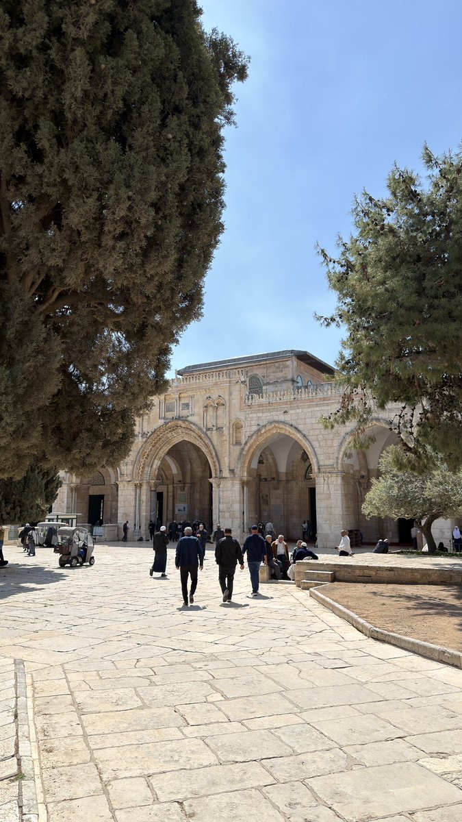 محمد tweet media