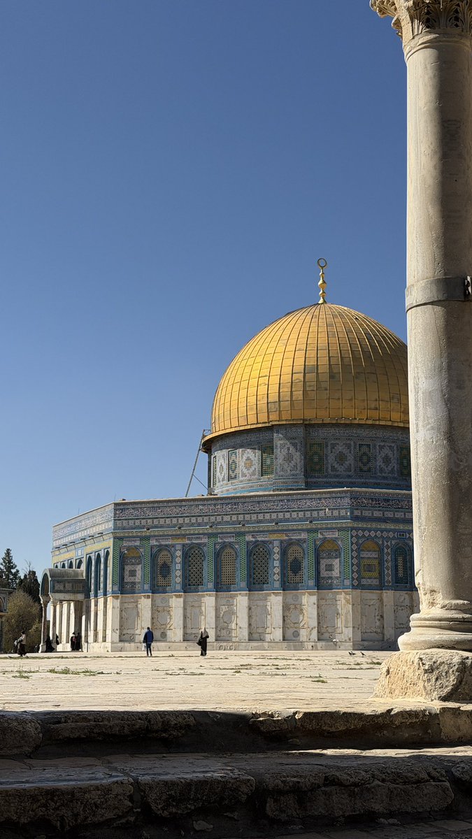 محمد tweet media