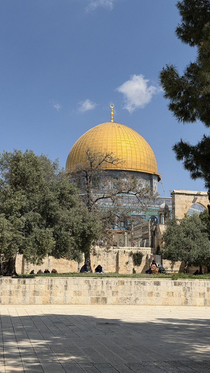 محمد tweet media