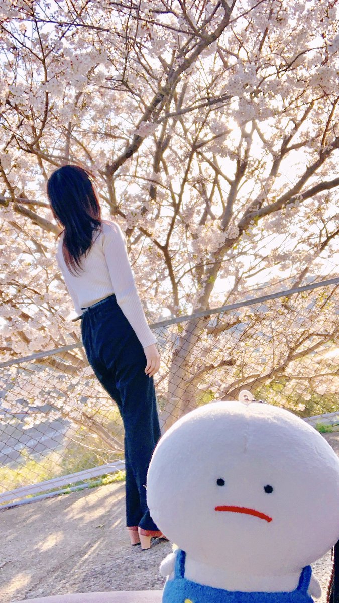 きょうは フォトのひ🖼
ぼくが とりました📷

#ぬいぐるみ #ぬい撮り #みじめちゃん #春のSNSなんでも展示会 #春の創作クラスタフォロー祭り