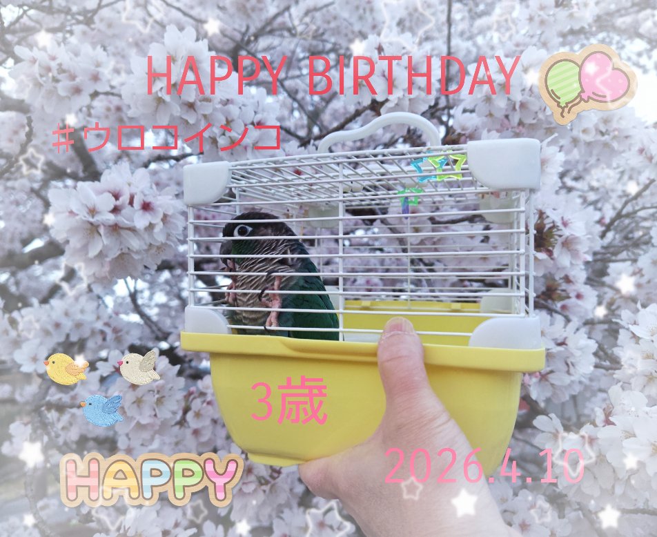 優甫(ゆうほ)✨Kaleidoscope✨ tweet media