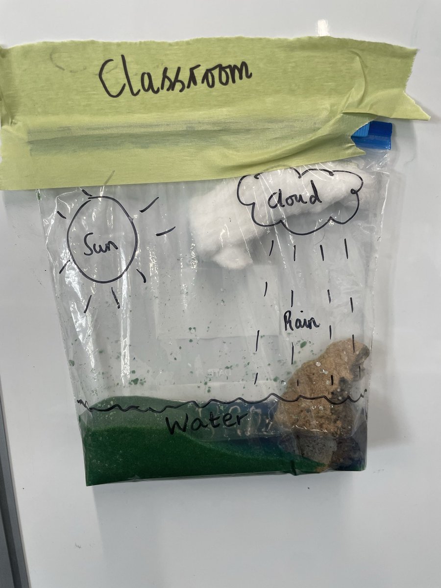 CalveleyAcademy's tweet image. Sycamore are conducting science experiments this morning. They have made miniature models of the water cycle and, after placing them around school, the children will observe the changes throughout the day. #science #experiment #watercycle