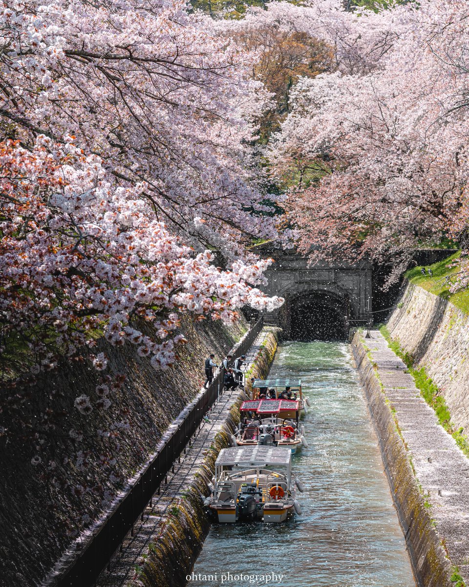 おおたに。┃日本の歴史を彩る風景写真 tweet media