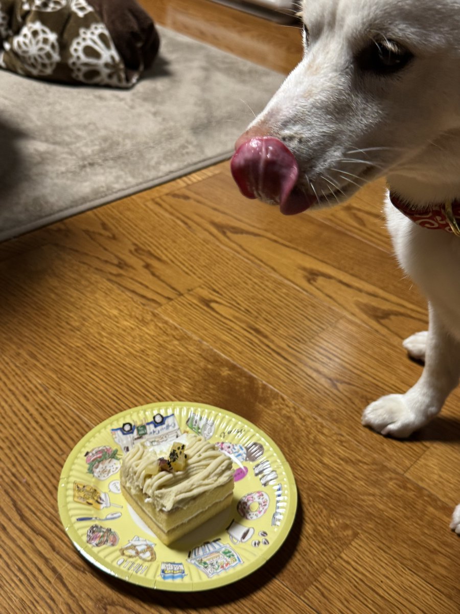 楽ちんたまご 【公式】丸鳥鶏卵 🐓卵いっぱい食べてくれてありがとう🐣楽たま茶長56の呟き🕺🎶 tweet media