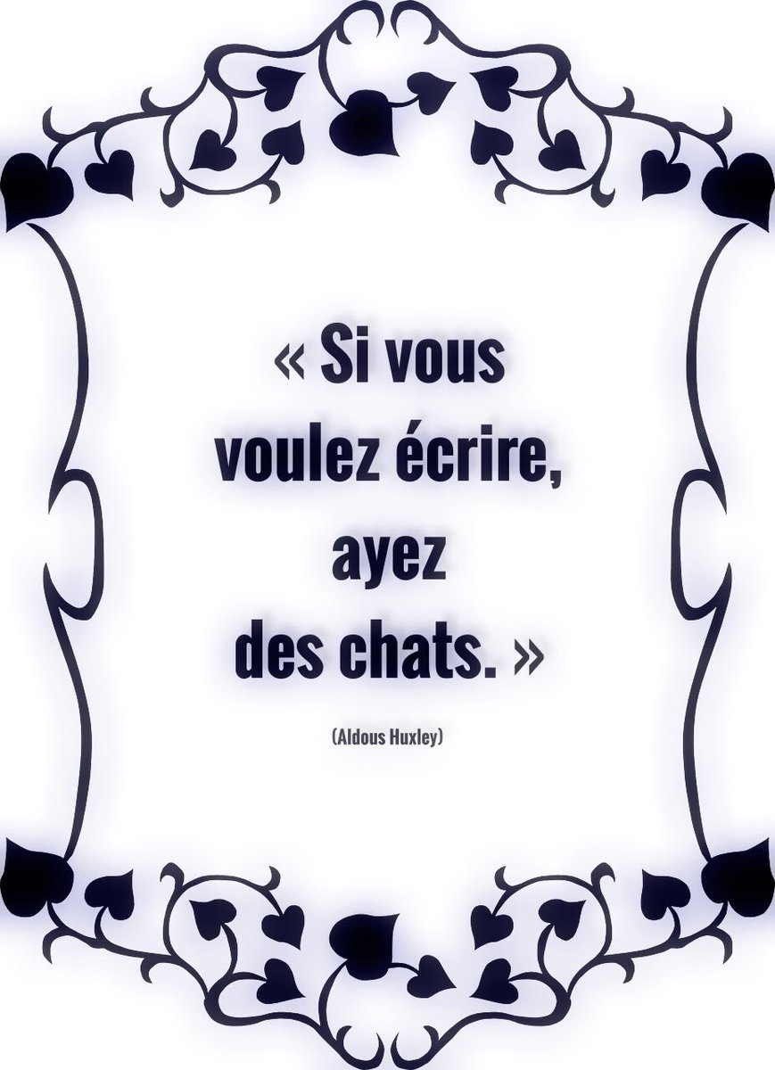 colombinepier's tweet image. #Citation du jour #Bonjour
#ligue_des_optimistes
