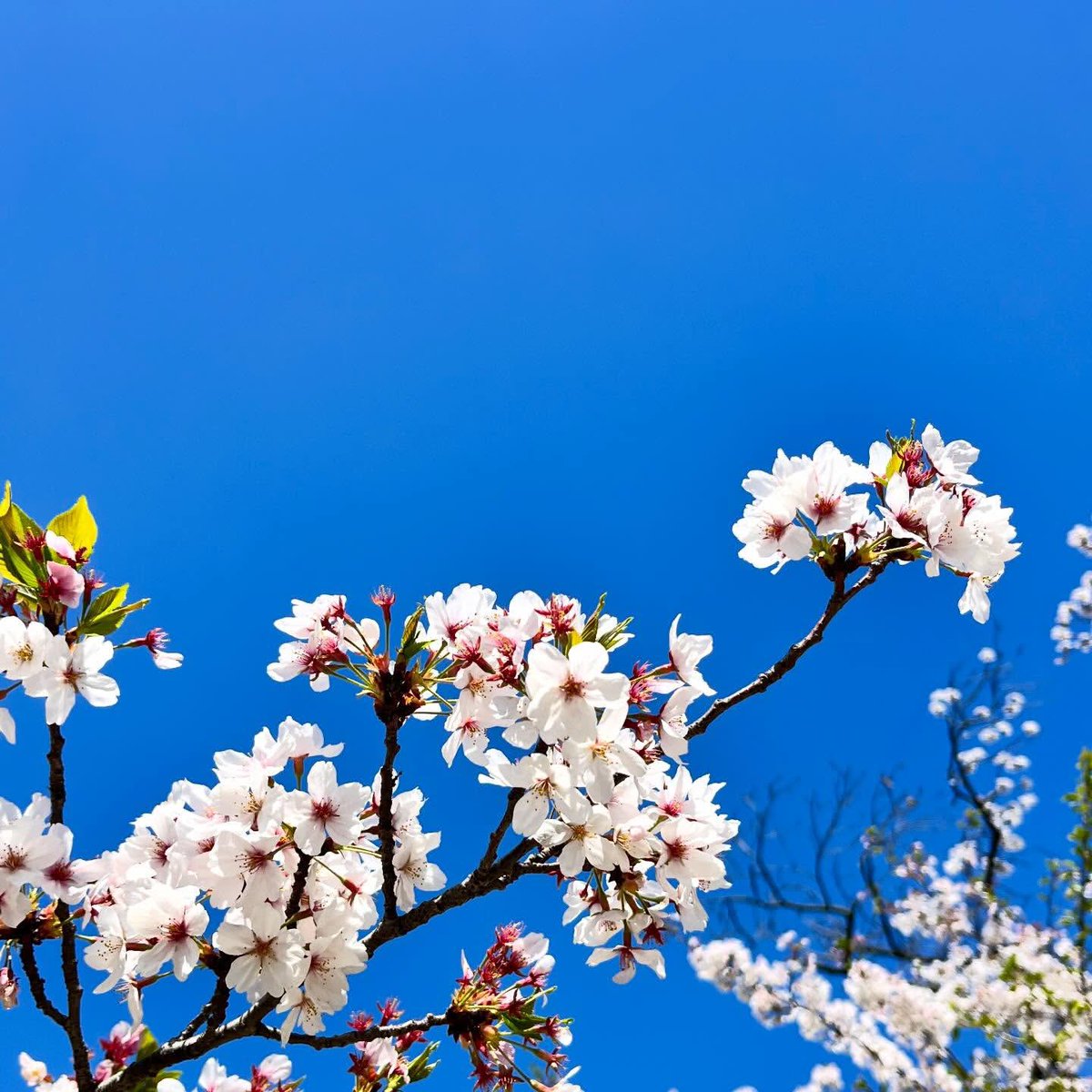 이종석 아카이브 tweet media