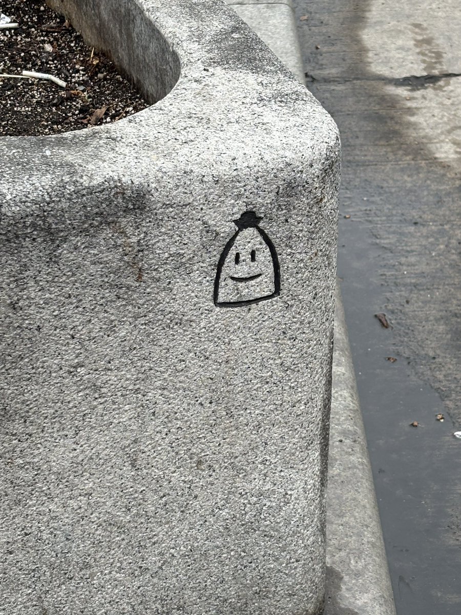 요리조리도리미돌이 tweet media